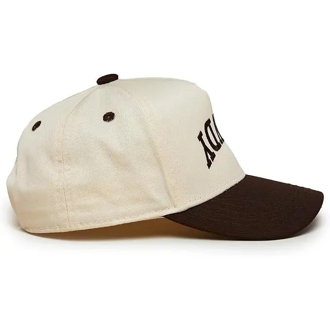 Funky Junque Two Tone Cap Rowdy Upside Down - Brown/beige