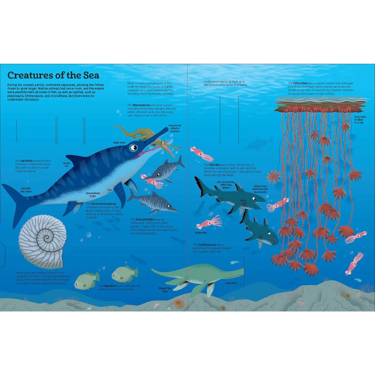 Chronicle Books The Ultimate Book of Dinosaurs & Other Prehistoric Creatures Book