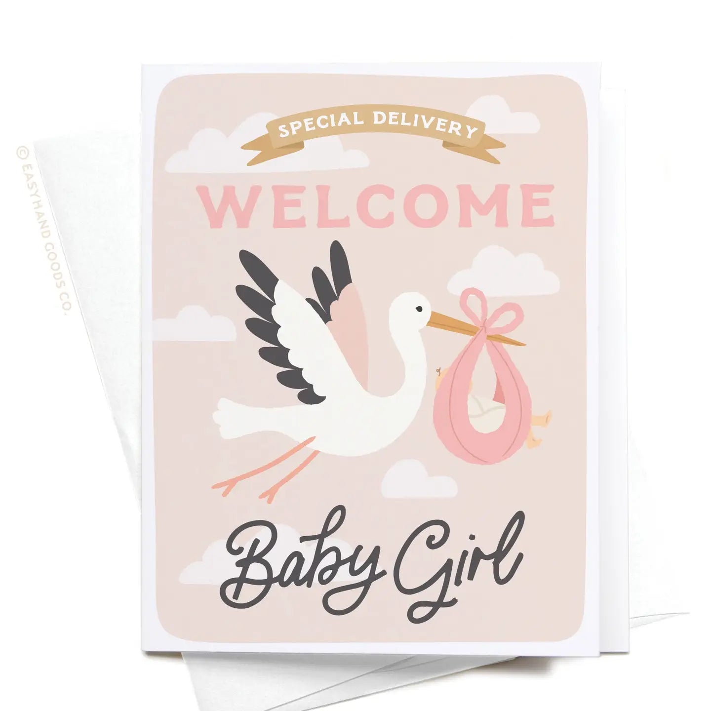 Easyhand Goods Special Delivery Welcome Baby Greeting Card