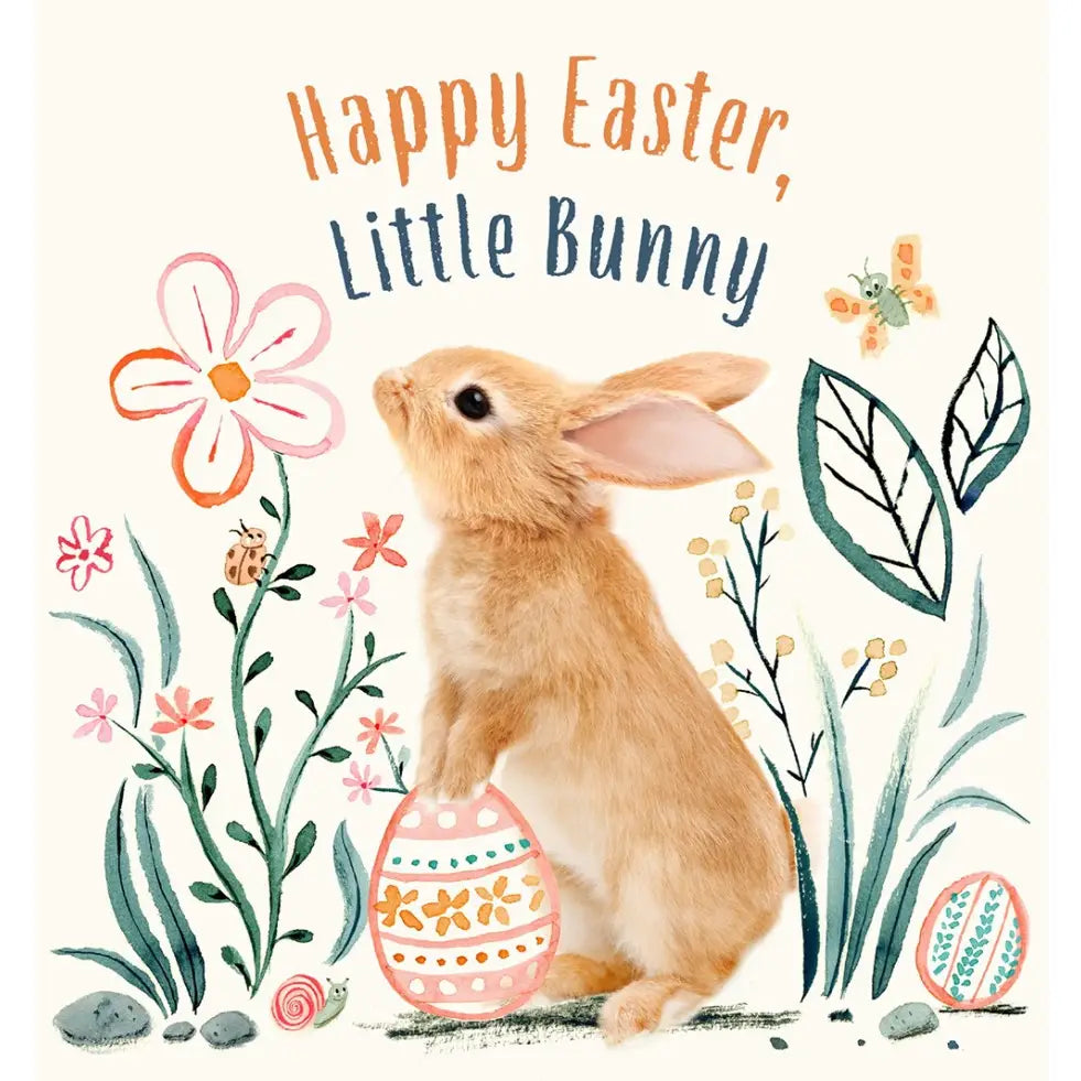 Abrams Books Happy Easter, Little Bunny Book