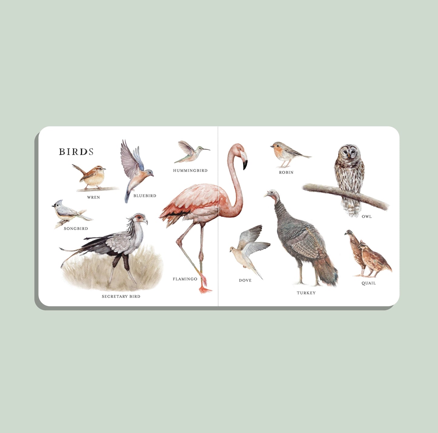 Penguin Random House Our Big Book of Animals (Board Book)