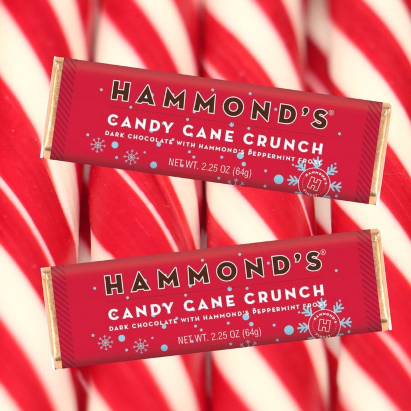Hammond's Candies Dark Chocolate Candy Bar 2.25oz - Candy Cane Crunch