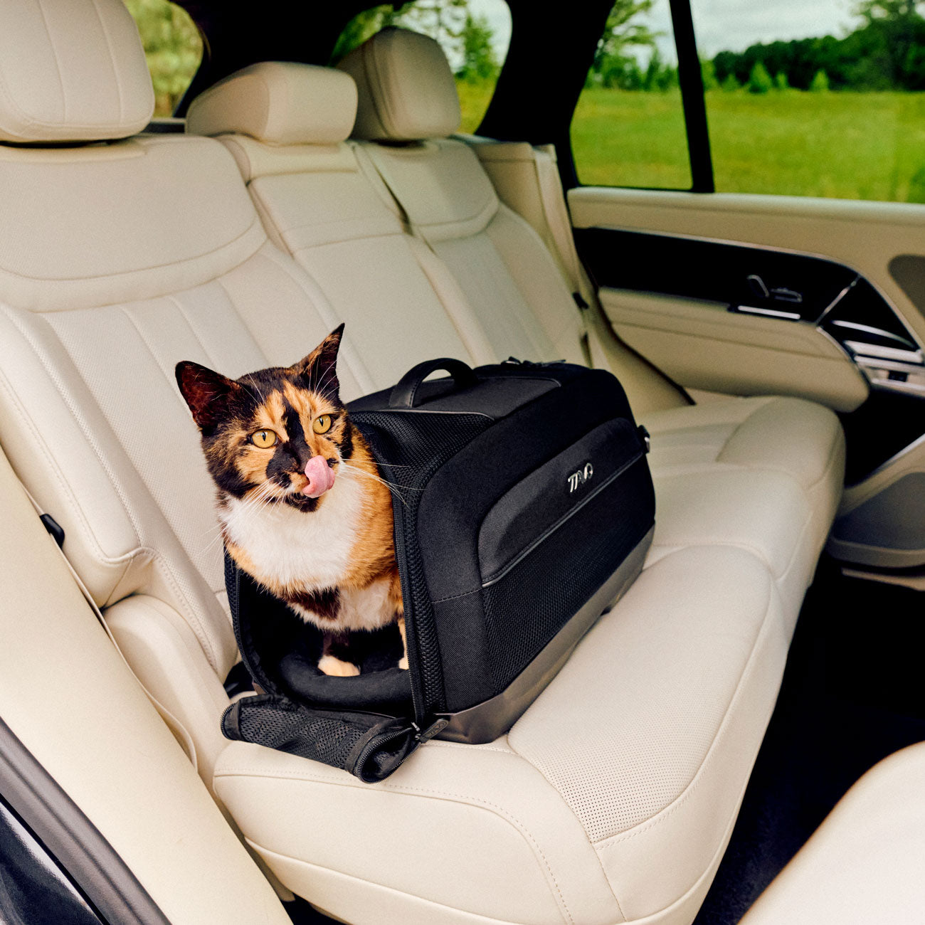 Cat sits in TAVO Pets Dupree I Carry-On Pet Car Seat - Onyx installed in vehicle