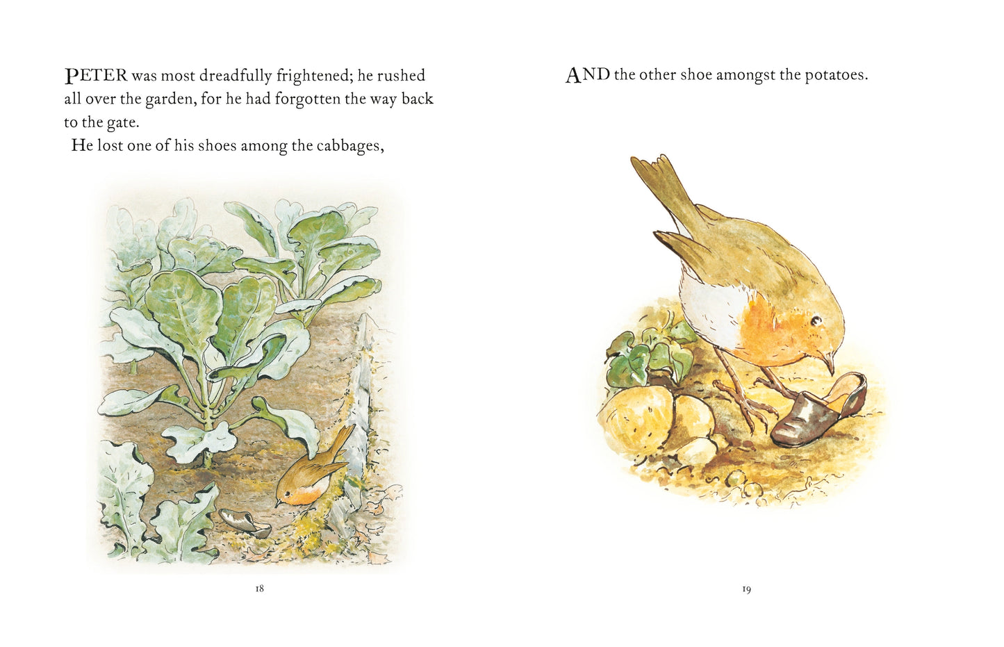 Penguin Random House LLC The Tale Of Peter Rabbit Book