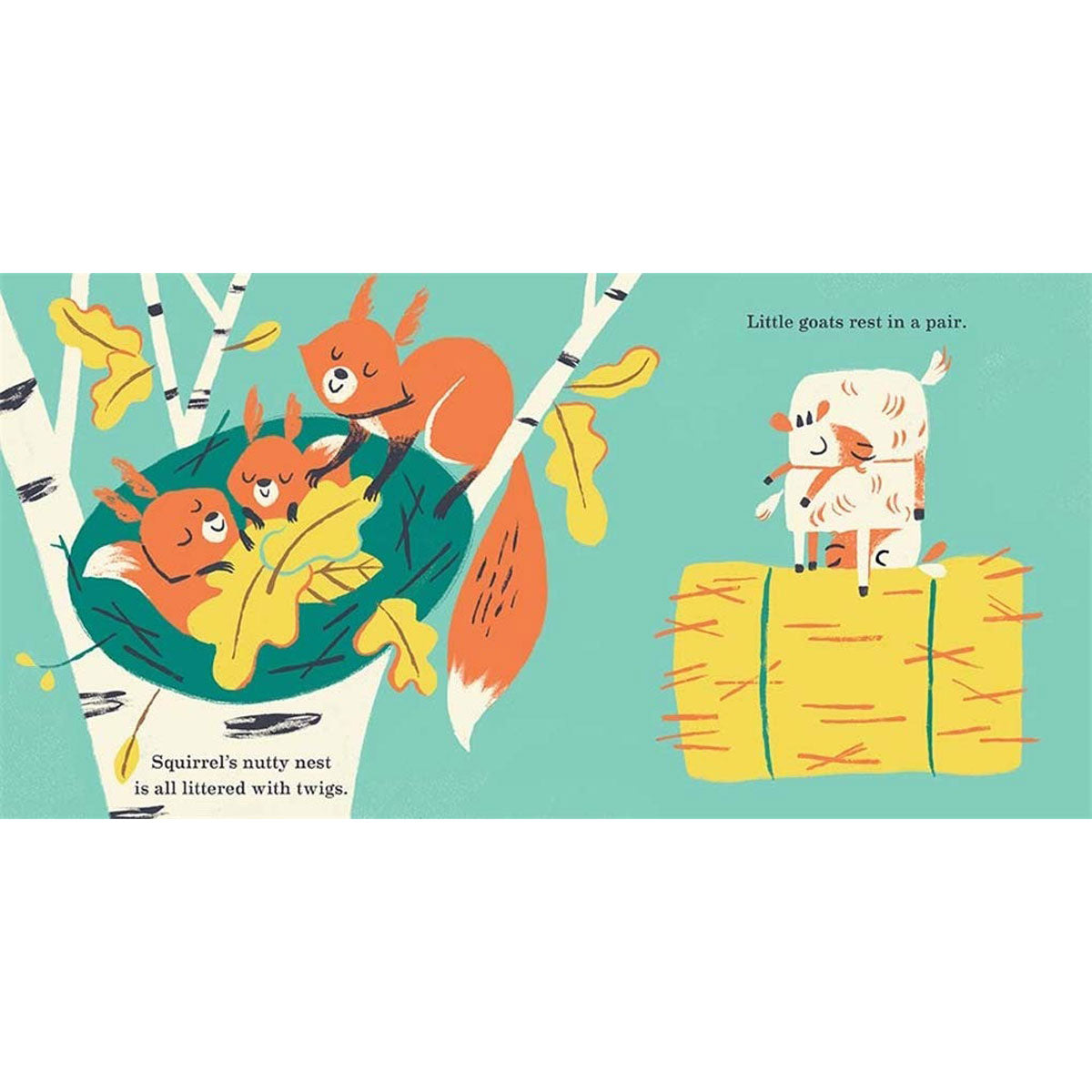 Abrams Books Babies Can Sleep Anywhere Boardbook