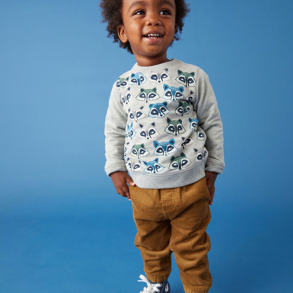 Tea Collection Raccoon Baby Popover - Med Heather Grey
