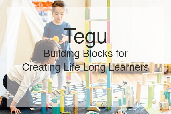 Tegu: Building Blocks for Creating Life Long Learners