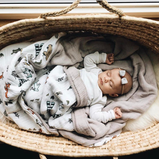 What Are Night Terrors?