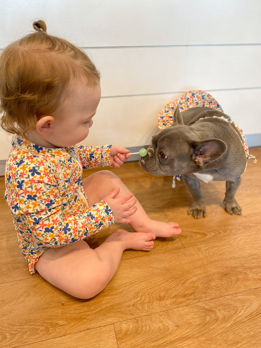 Puppy-and-Me Clothing