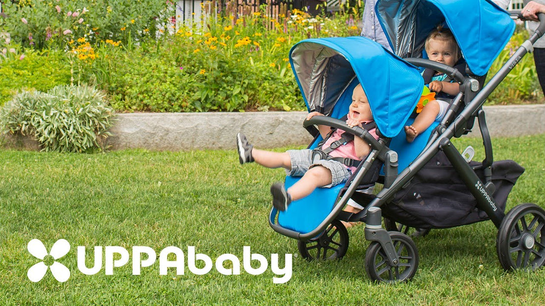 UPPAbaby Vista The Stroller That is Right For You!