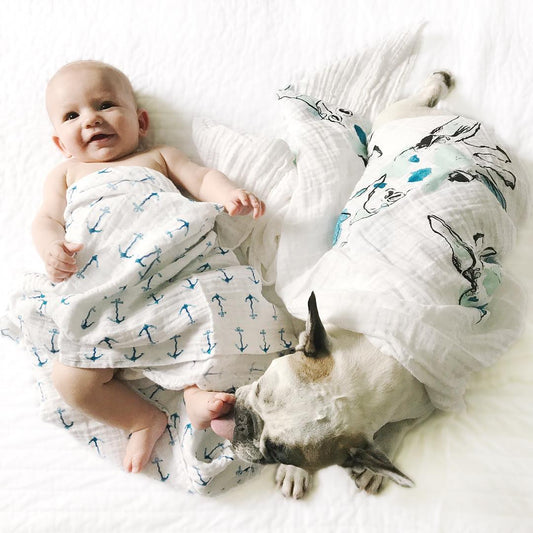 There’s a Blanket for That