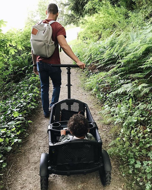 Venture Everywhere with the Veer Cruiser