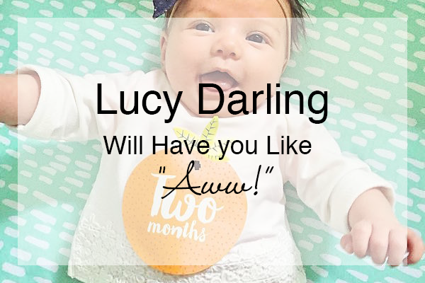 Lucy Darling Stickers, Board Books, and Art Prints Will Have you Like, "Aww!"