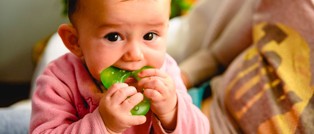 Teething 101: Tips for Surviving Teething Time