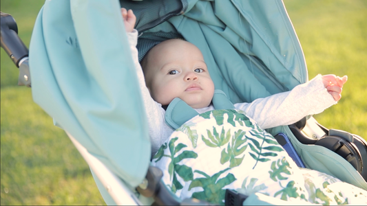 Video: Strolling with the Bumbleride Era