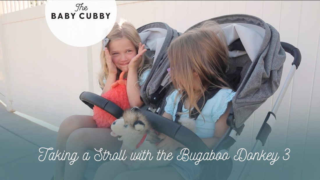 Video: Taking a Stroll with the Bugaboo Donkey 3