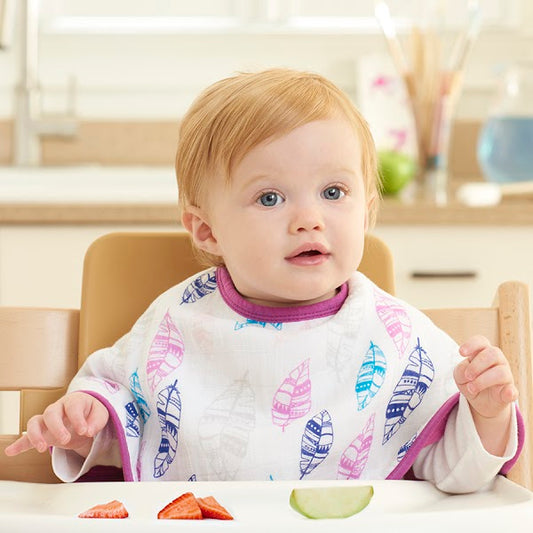 Aden + Anais Swaddles/Bibs