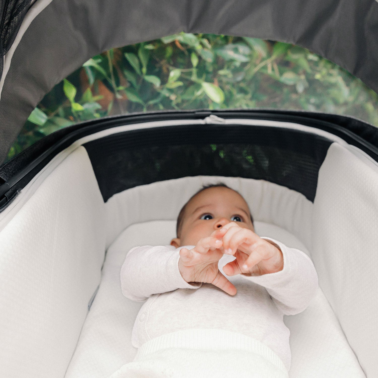 uppababy bassinet mattress cover UPPAbaby Mattress Cover for Bassinet