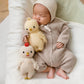 Cuddle and Kind Baby Chicken