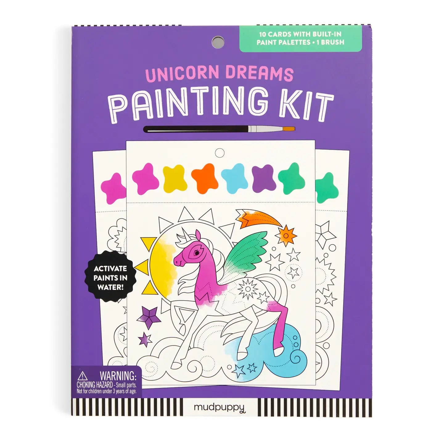 Chronicle Books Painting Kit