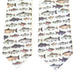 Boon Ties Fish On! - Men's Tie