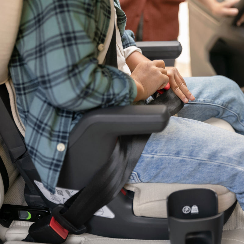 uppababy alta car seat UPPAbaby