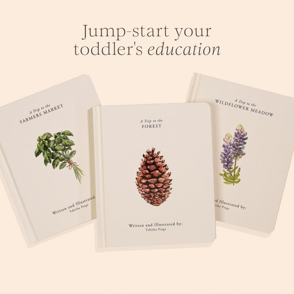 Penguin Random House LLC Our Little Adventures Book Set