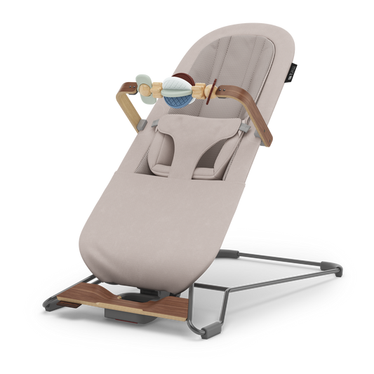 UPPAbaby Mira V2 2-In-1 Bouncer and Seat