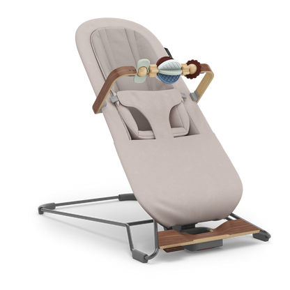 UPPAbaby Mira V2 2-In-1 Bouncer and Seat