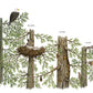 Chronicle Books When A Tree Falls