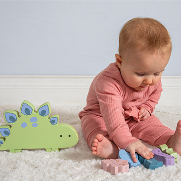 Mary Meyer Littlewood Dinosaur Blocks
