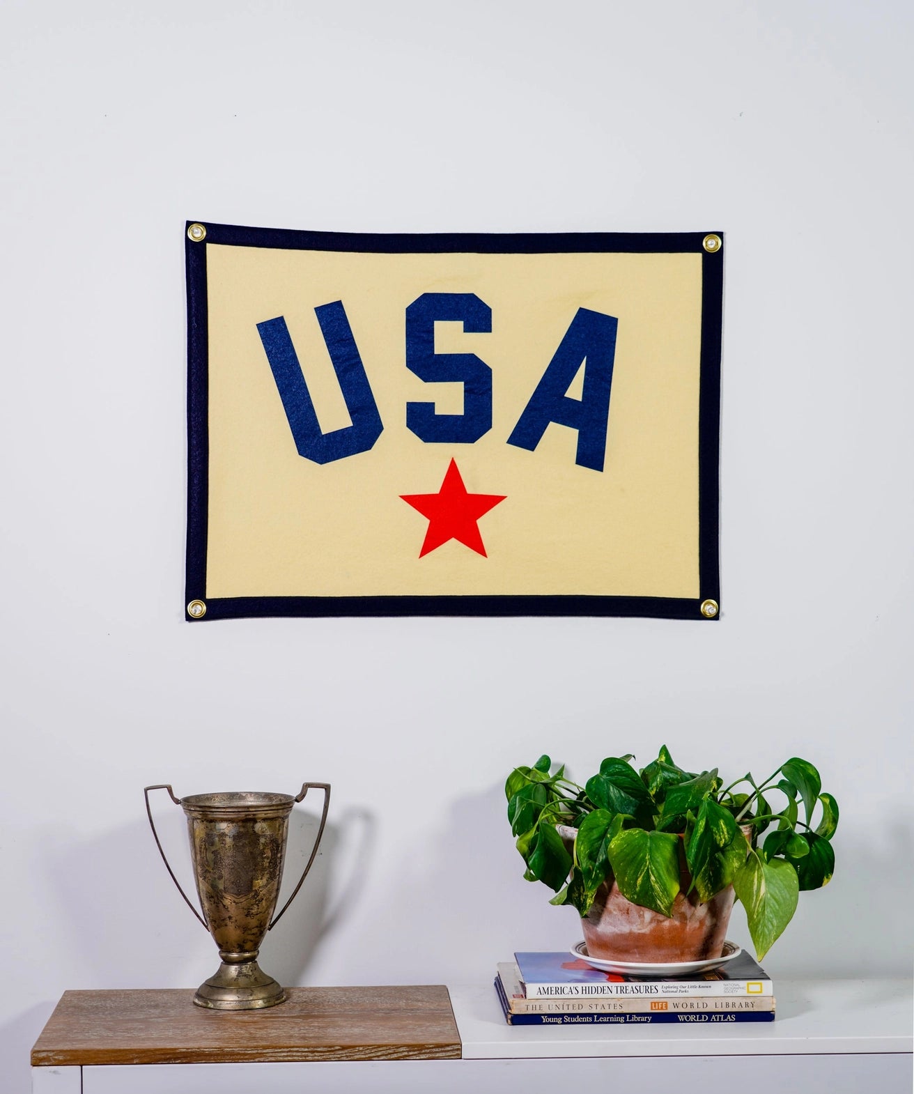 Oxford Pennant USA Camp Flag