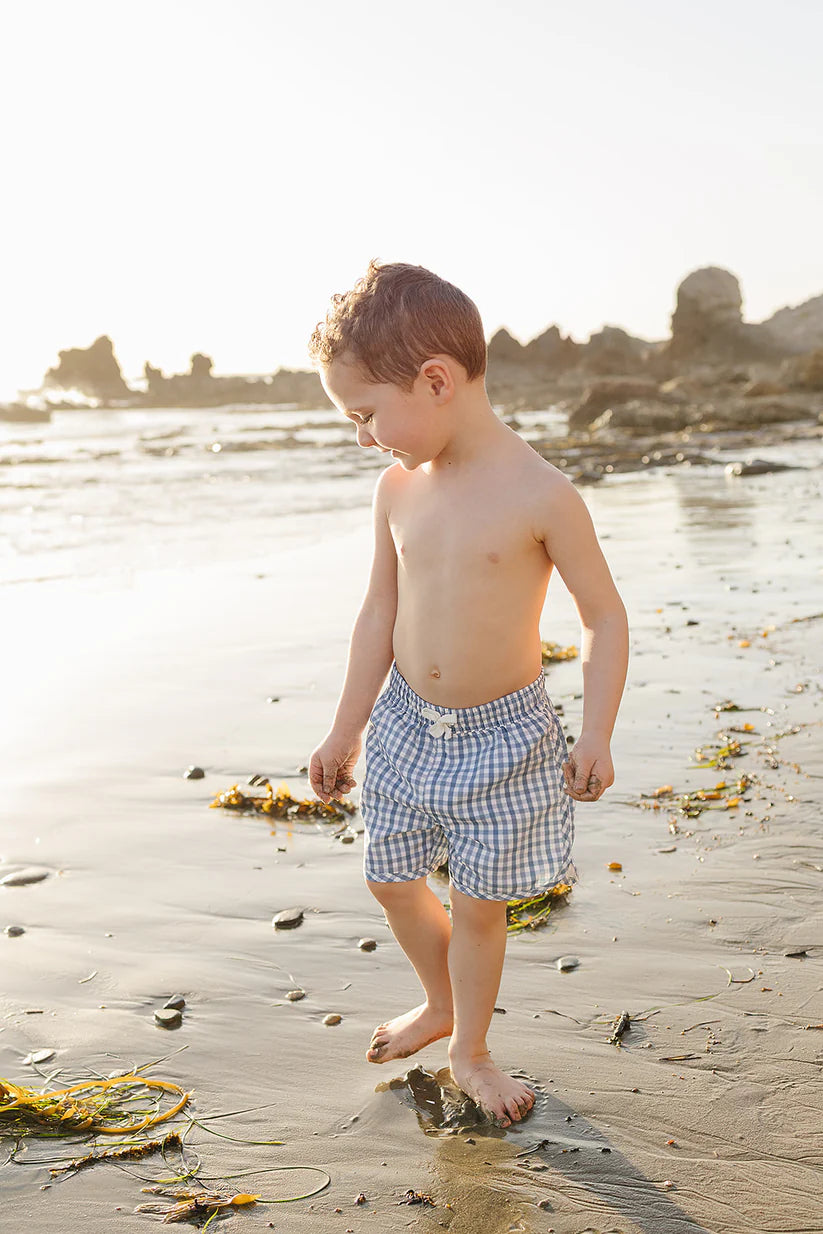 Mebie Baby Gingham Swim Shorts