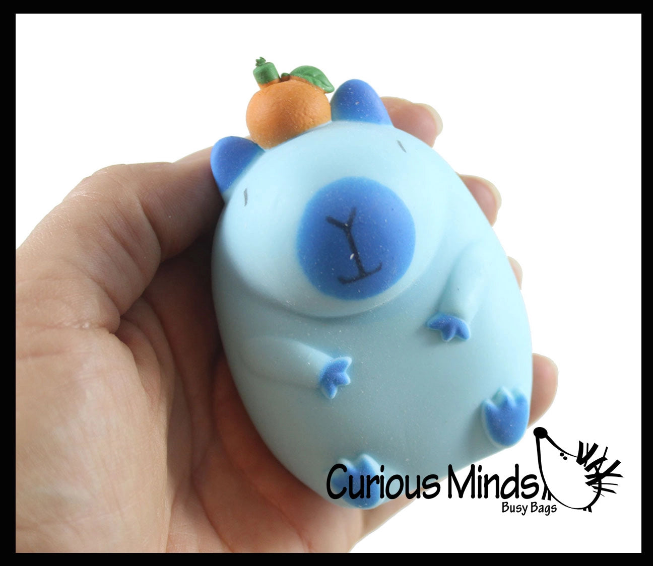 Curious Minds Toys Capybara Sensory Fidget Toy Assortment