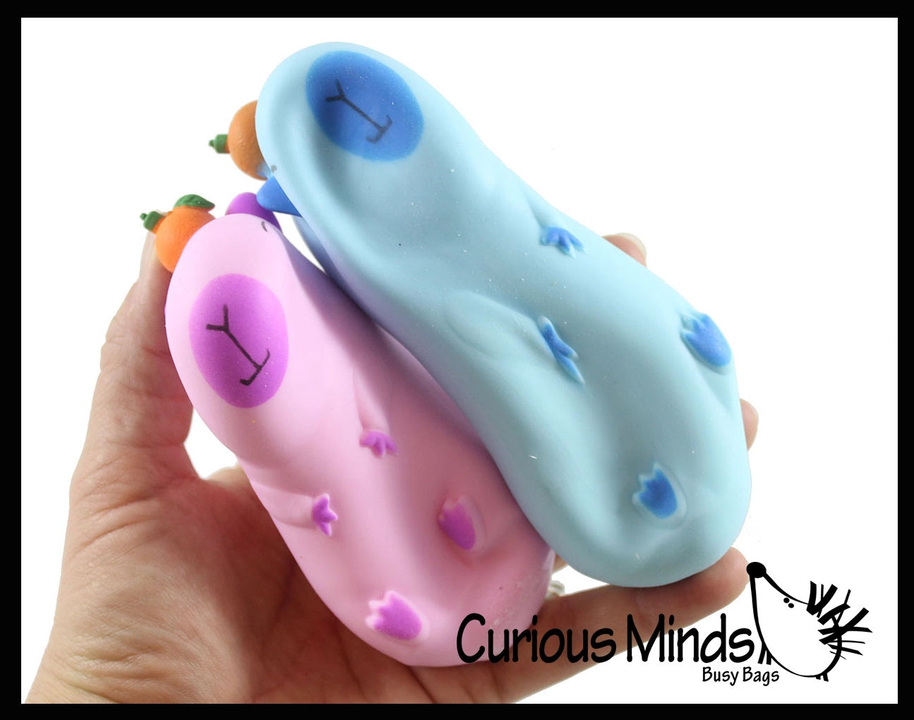 Curious Minds Toys Capybara Sensory Fidget Toy Assortment