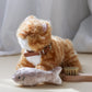 Little Lamb Kind Munchkin & House - Cat Pretend Play Set