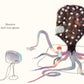 Hachette Book Group Monsters Never Get Haircuts