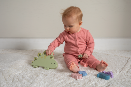 Mary Meyer Littlewood Dinosaur Blocks