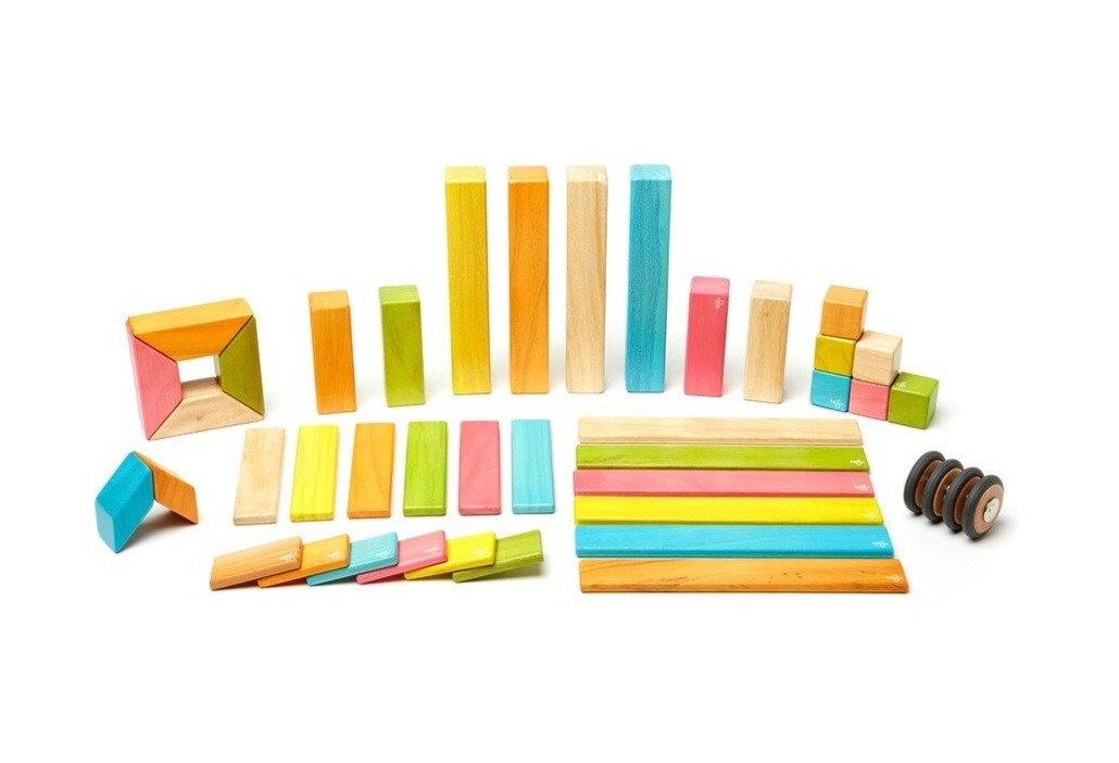 Tegu 42-Piece Magnetic Toy Set - Tints