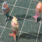 Sunnylife Set of 3 Melody the Mermaid Dive Buddies