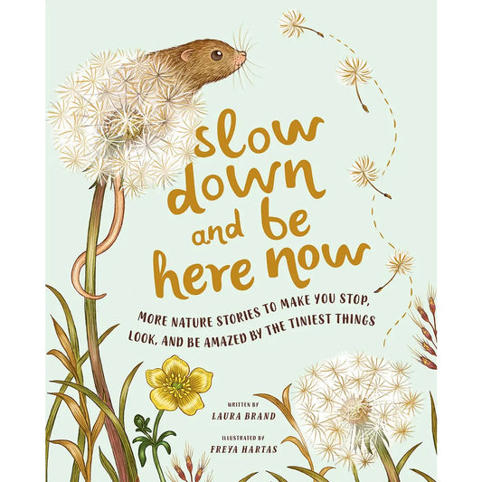 Abrams Books Slow Down and Be Here Now