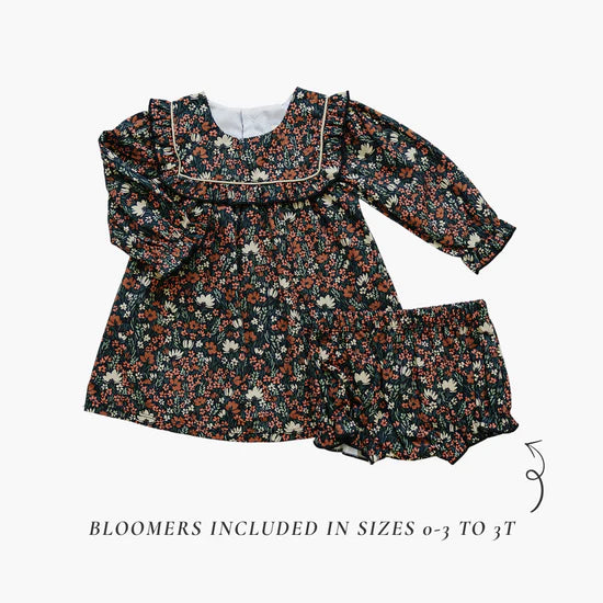Mebie Baby Midnight Meadow Dress
