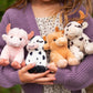 Beverly Hills Teddy Bear Company Mooey Moo Moos Plushee Collection – Assortment