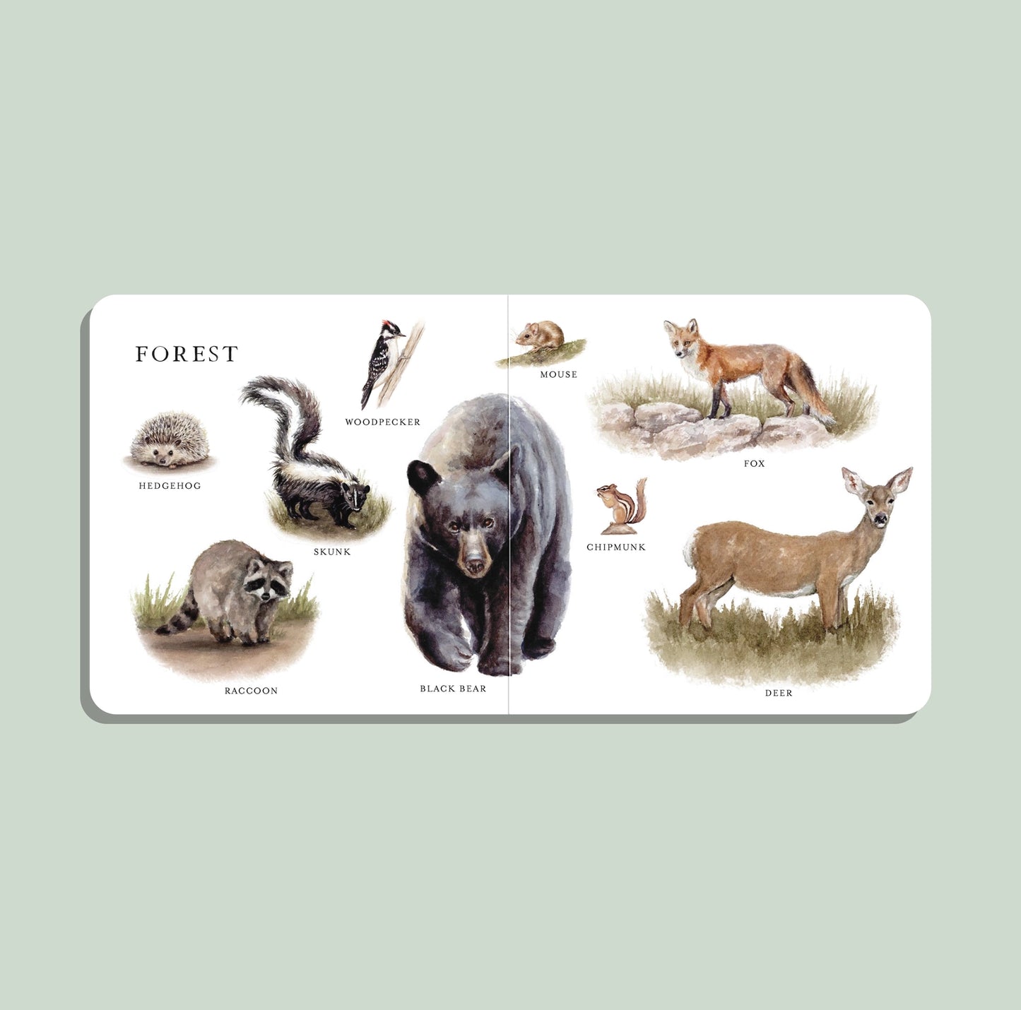 Penguin Random House Our Big Book of Animals (Board Book)