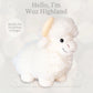 Beverly Hills Teddy Bear Company World's Softest Lushee 16 inch - Wuz Highland Cow