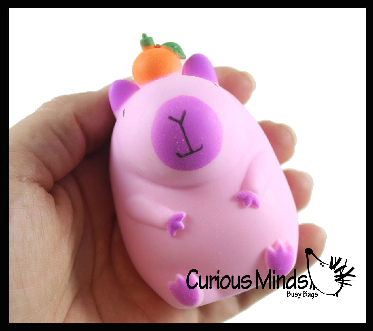 Curious Minds Toys Capybara Sensory Fidget Toy Assortment