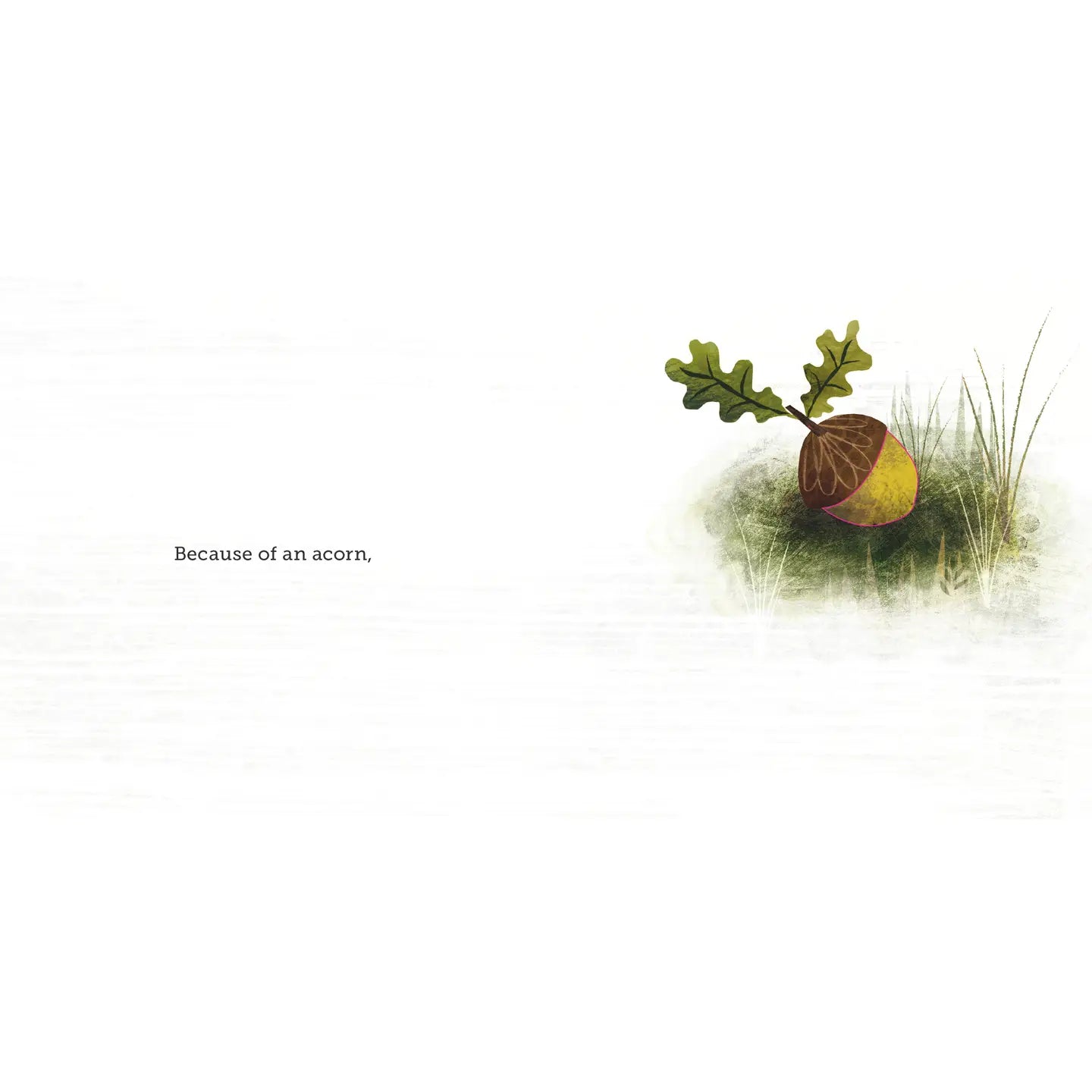 Chronicle Books Because of an Acorn Book