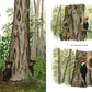 Chronicle Books When A Tree Falls