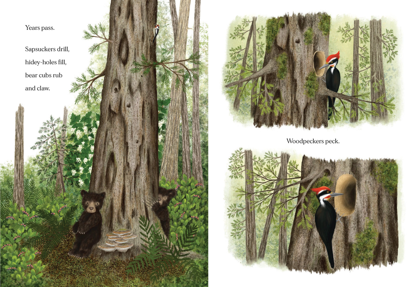 Chronicle Books When A Tree Falls