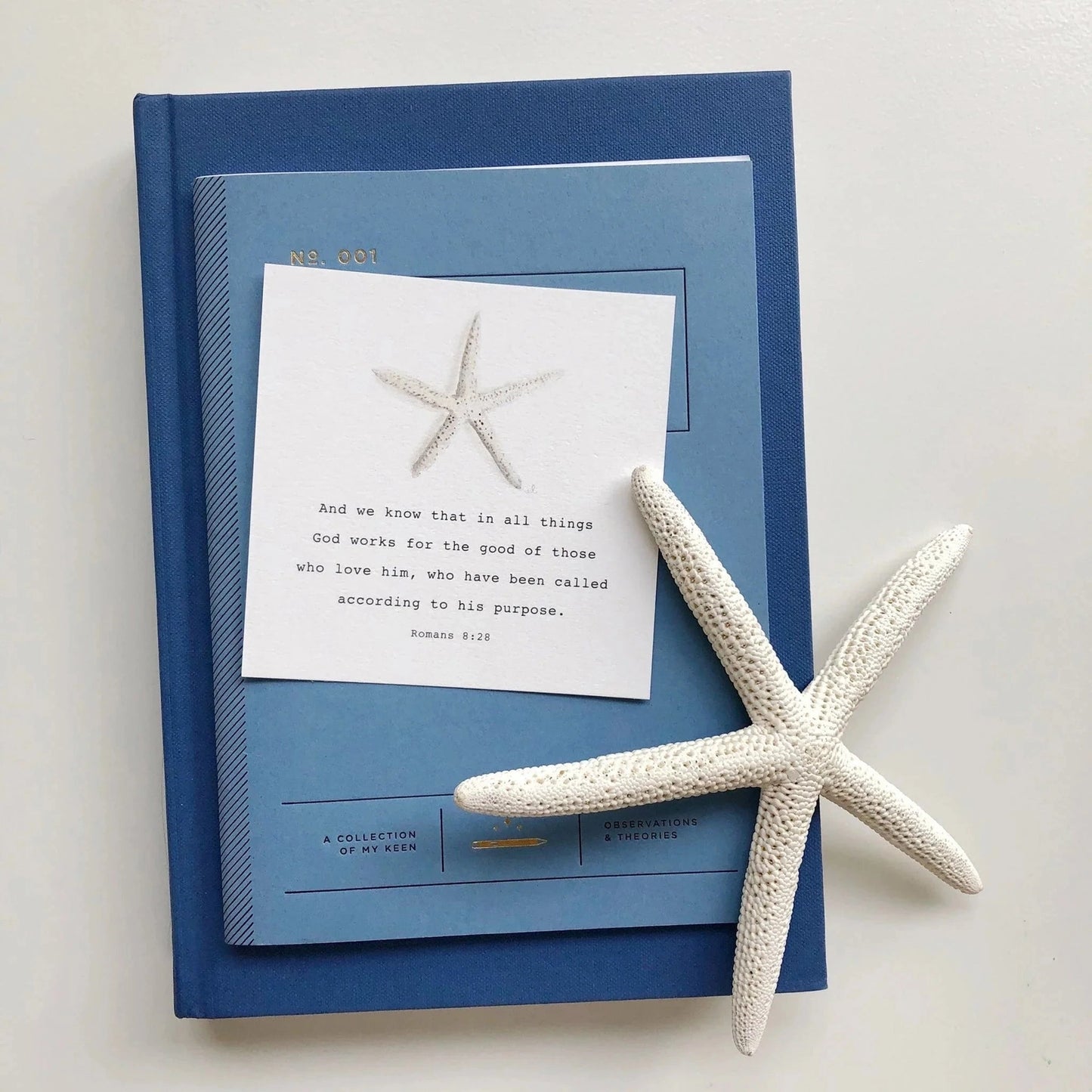 Emily Lex Studio Truth For Today Cards For Kids